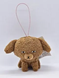 新品　きょむきょむ倶楽部　 ぬいぐるみ　ぷーこ　トイプードル