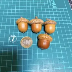 ⑦北海道　王様サイズ　レッドオーク　どんぐり　接着あり　　　4個セット