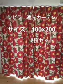 スミノエ 遮光カーテン イーブイズ 100×135㎝2枚セット ポケモン
