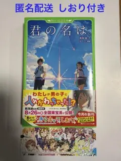 君の名は。 新海誠 ちーこ