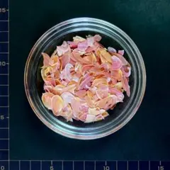 桜貝【フレーク】10g(10)