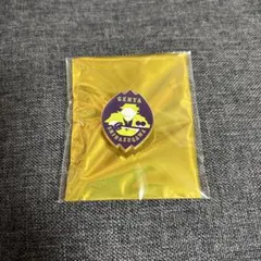 鬼滅の刃 隊士百景 コレクション ピンズ 不死川玄弥