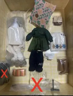 ネオブライス お人形遊び