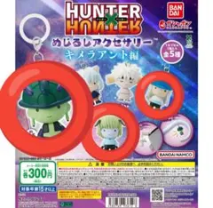 HUNTERHUNTER　めじるしアクセサリー