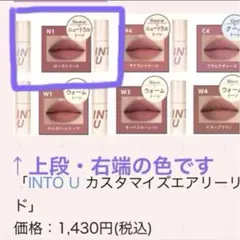 INTO U カスタマイズエアリーリップマッド　N1 ローズツイード　泥リップのサムネイル
