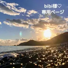 太平洋♡シーグラス (中粒 美品) ✱390