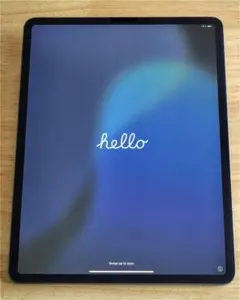 iPad Pro 12.9インチ 第3世代 256GB Wifi