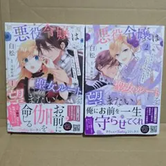 新刊 新悪役令嬢は聖女ルートを望まない ～私、イケメン攻略なんてしたくない… 2