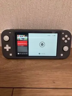 d*9様 Nintendo Switch Lite グレー 本体