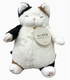 みけねこ様 リクエスト 2点 まとめ商品 みけねこ様 リクエスト 2点 まとめ商品