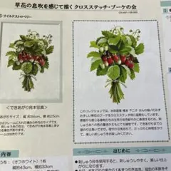 フェリシモ【図案&残り糸】橋本不二子　クロスステッチ・ブーケ