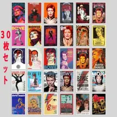 デヴィッド・ボウイ ステッカー 30個セット シール ロックミニポスター 1
