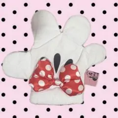 ミニーの手 パスケース ディズニー 希少 レア