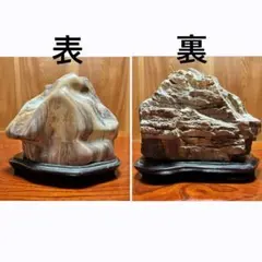 新潟県産 雷鳥石 天然石 仙見川石 仙見石 水石 2点セット インテリア 置物 新潟県産 雷鳥石 天然石 仙見川石 仙見石 水石 2点セット インテリア