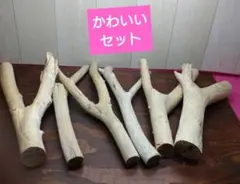 流木セット　no.340