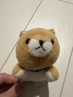 豆柴三兄弟 ぬいぐるみ マスコット