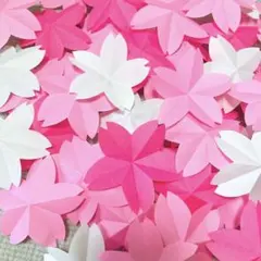 折り紙　桜　50枚