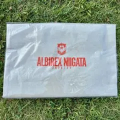 アルビレックス新潟 ガラポン ツアートートバッグ