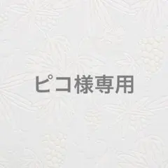 ピコ様専用