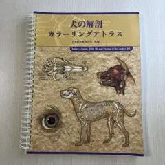 ベテリナリー・アナトミー 犬と猫の解剖カラーアトラス　獣医学 Amazon.co.jp: ベテリナリ-・アナトミ-: 犬と猫の解剖カラ