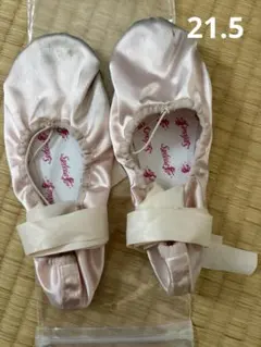 Item thumbnail for item a1c66ee0-1cae-40af-86e8-e75a6f878225