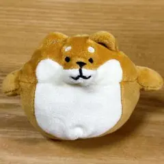 Hughug ハグハグ もっちりミニ 柴犬 ぬいぐるみ ぬい活 犬のサムネイル