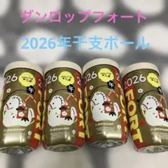 2026年最新】テニスボールダンロップフォート缶の人気アイテム - メルカリ