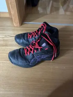 ASICS GELHOOP V14 wide 24.5cm