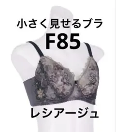 Wing レシアージュ　F85小さく見せるブラ大きいサイズレース　フルカップブラ