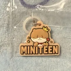 SEVENTEEN MINITEEN めじるしチャーム セブチ