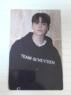 SEVENTEEN セブチ CARAT LAND バーノン トレカ