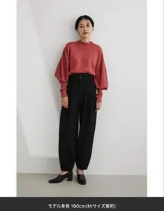 STYLEMIXER ハイウエストバルーンパンツ