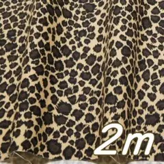 New!＊２ｍ●布 豹柄 ヒョウ 幅110cm ツイル ベージュ ブラウン