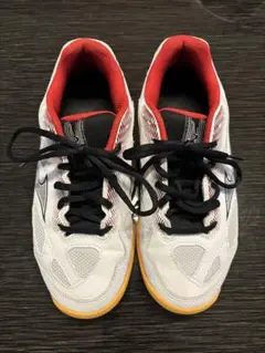 Mizuno Sky Blaster バドミントンシューズ
