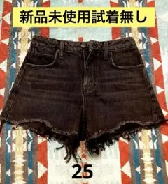 2026年最新】Alexander Wang カラー：ブラック系 レディース ショート