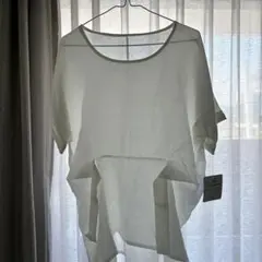 大きいサイズ　レディースブラウスL新品