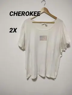 ベージュ 半袖 Tシャツ 【2X】 レディース トップス 半袖シャツ 大きめ