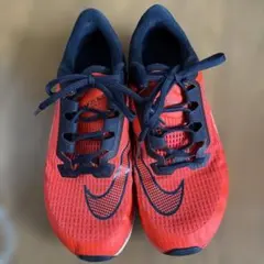 ライバルフライ3 25.5