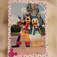 ディズニースペシャルフォト　クールザヒート　ドナルド　グーフィー