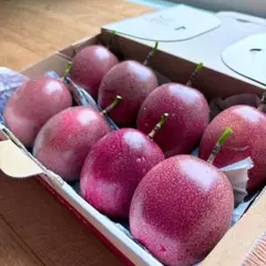 タイムセール★【農薬不使用】奄美大島産 完熟パッションフルーツ 中玉 8玉のサムネイル
