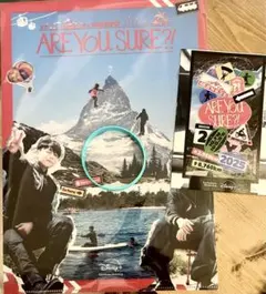 【2枚】イゲマジャARE You SURE?! フェス特典クリアファイル