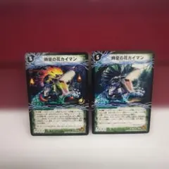 時空の花カイマン 華獣の覚醒者アリゲーター　1枚はプロモ