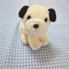 champion kids チャンピオンキッズ パグ