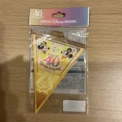 東京ディズニーリゾート 40周年記念バナー