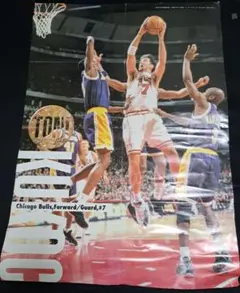 NBA トニ・クーコッチ 大型ポスター NBA トニ・クーコッチ 大型ポスター - メルカリ