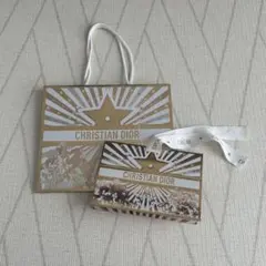 CHRISTIAN DIOR クリスマス限定 ショップ袋