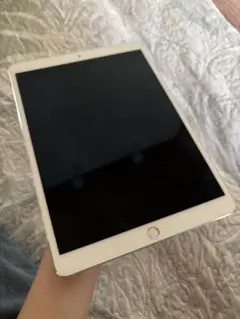 iPad Pro 10.5インチ 64GB Wi-Fi シルバー 動作確認済