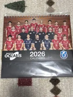 2026年最新】名古屋オーシャンズの人気アイテム - メルカリ