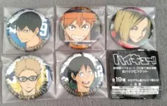 ハイキュー!!ゴミ捨て場の決戦 缶バッジ ビスケット 5点セット