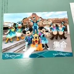 全員集合　スペフォ　スペシャルフォト 東京ディズニーシー25周年　 スパークリン
